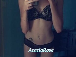 AcaciaRose