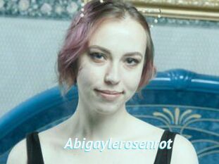 Abigaylerosenrot