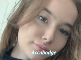 Accabodge