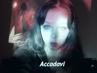 Accadavi