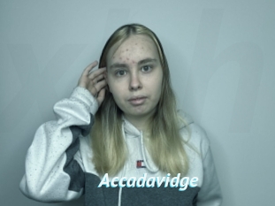 Accadavidge