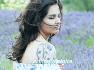 Aerinbaudelaire