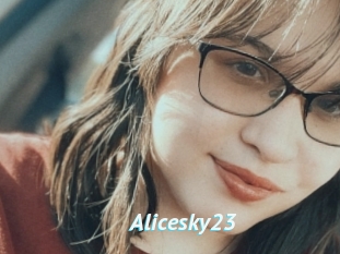 Alicesky23