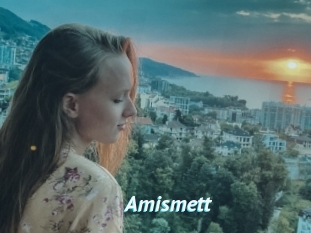 Amismett