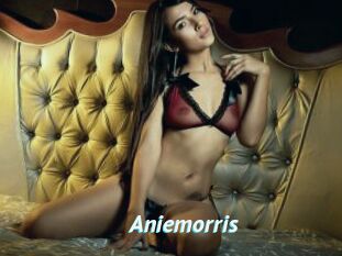 Aniemorris