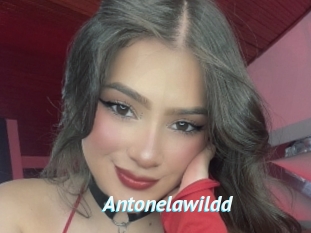Antonelawildd