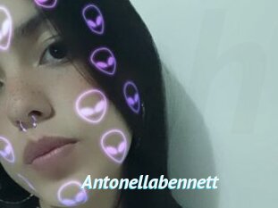 Antonellabennett