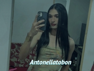Antonellatobon