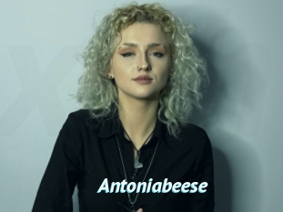 Antoniabeese