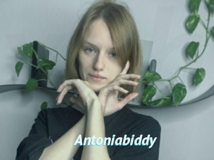 Antoniabiddy