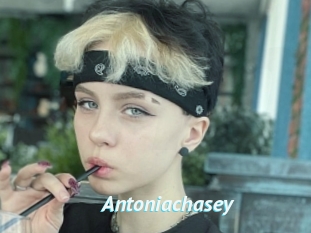 Antoniachasey