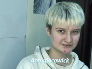Antoniacowick