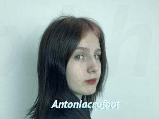 Antoniacrofoot