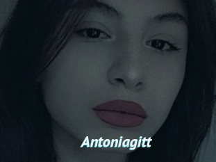 Antoniagitt
