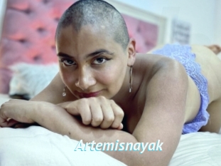 Artemisnayak
