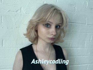 Ashleycodling