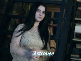 Astrobee