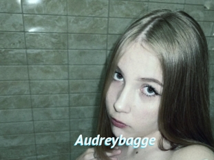 Audreybagge