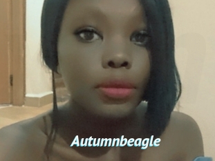 Autumnbeagle