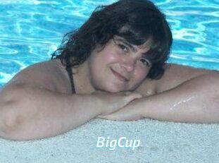 BigCup