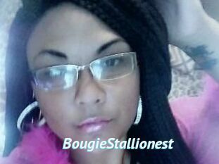 BougieStallionest