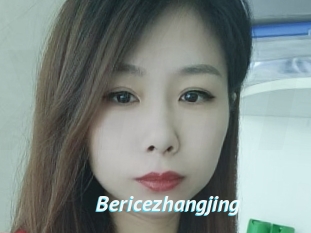 Bericezhangjing