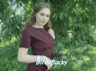 Birdoflucky