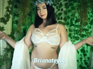Brianateylor