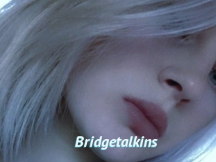 Bridgetalkins