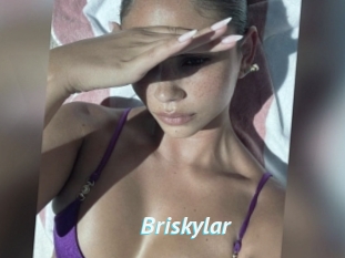 Briskylar