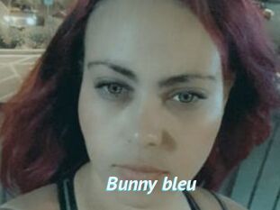 Bunny_bleu