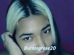 Burningrose20