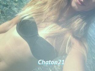Chaton21