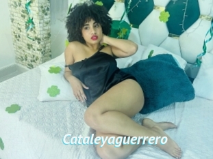 Cataleyaguerrero