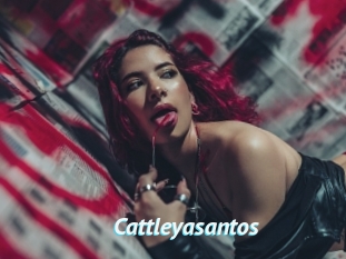 Cattleyasantos