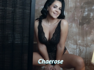 Chaerose
