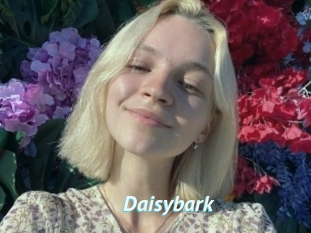 Daisybark