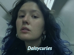Daisycurles