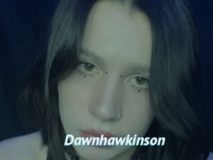 Dawnhawkinson