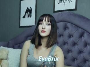 EvaBrix