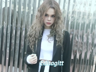 Editagitt