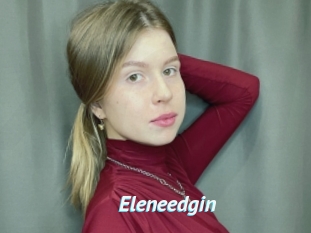 Eleneedgin