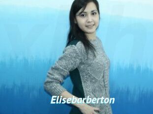 Elisebarberton