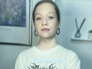 Ellettebuss
