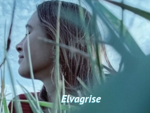 Elvagrise