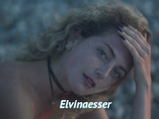Elvinaesser