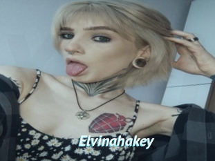 Elvinahakey
