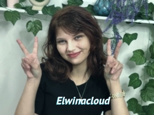 Elwinacloud