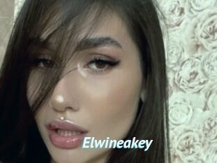 Elwineakey