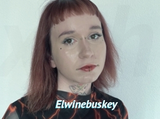 Elwinebuskey